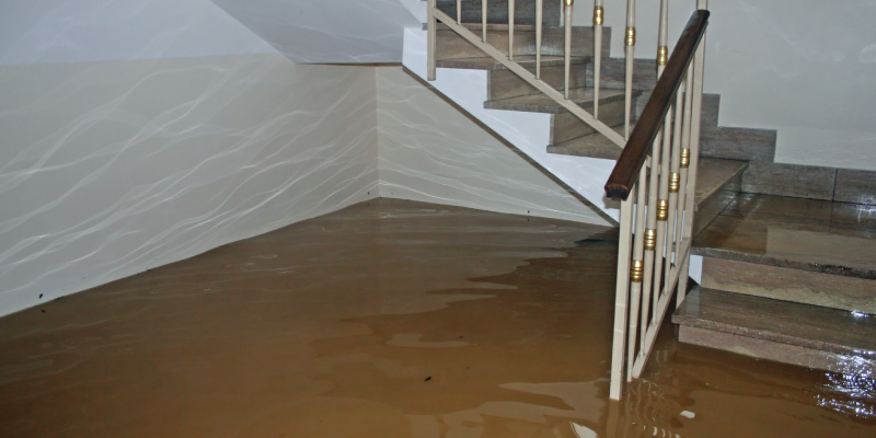 Flood Clean up Steps, Costs, and Professional Services