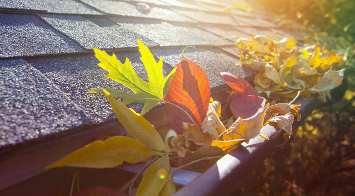 Fall Is the Right Time to Have Your Home’s Gutters Cleaned!